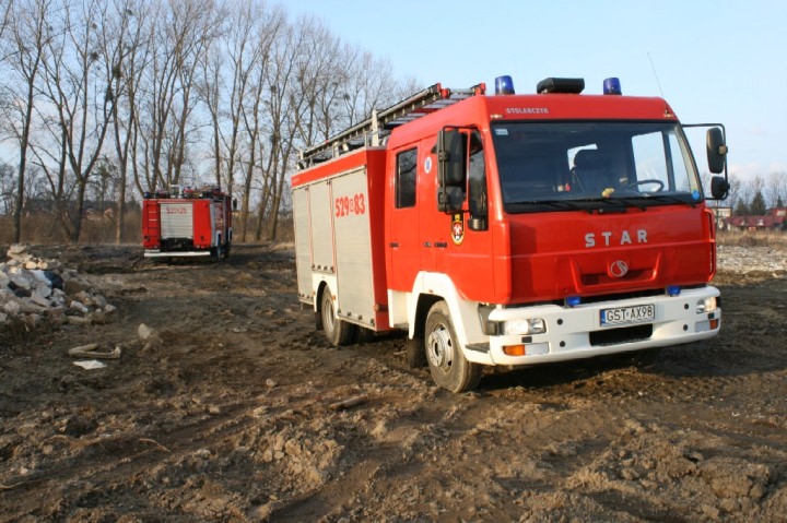 Trawy 2011