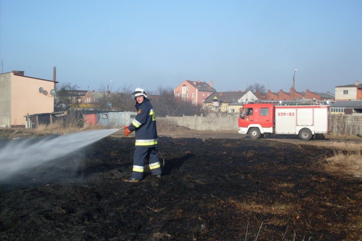 Trawy 2012