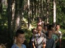 Skrzynia 2005